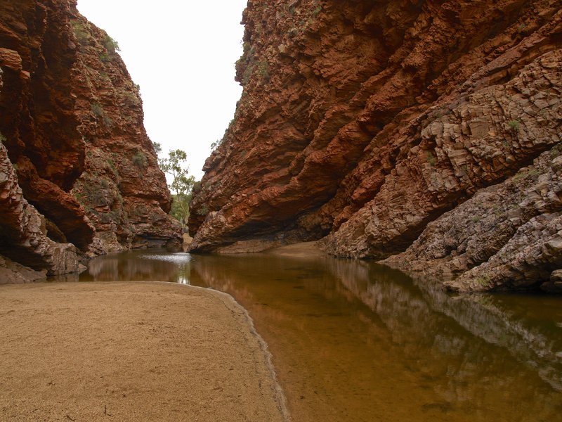 Ellery Creek